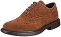 Samsonite BUSINESS LOW SUEDE TDM SFM101264 Herren Sneaker