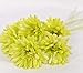 10 PCS Real Touch Latex Silk Artificial fake plastic Daisy Chrysanthemum Flowers Sun Chrysanthemum,Sunflower, Simulation Gerber, Dimorphotheca,Party Room home Decoration DIY Flower Bouquet (green)