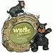 Miniature Circular Willie Black Bear with Cub on Birch Log 2.25 Photo Frame - 5 Inche...