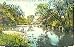 Delaware River Delhi Ny Postcard