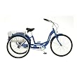 Schwinn Meridian Adult 26-Inch 3-Wheel Bike