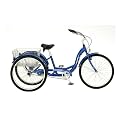 Schwinn Meridian Adult 26-Inch 3-Wheel Bike