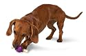 Premier Busy Buddy Bouncy Bone Dog Toy, Small