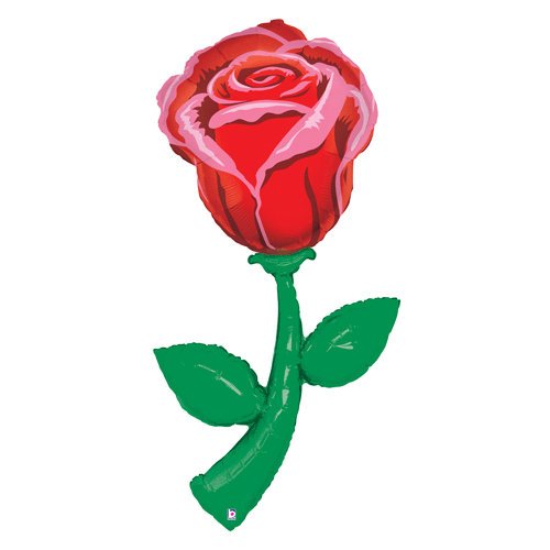 Fresh Pick Red Rose 60
