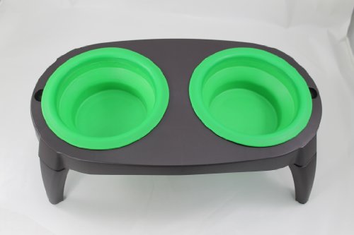 1 Best Elevated Dog Bowls Collapsible Pet Feeder Bowls Travel Dog