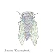 Entomophonic