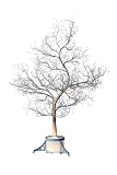 Festive 1.5m White Bare Stem Fibre Optic Christmas Tree