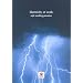 Electricity at Work: Safe Working Practices (Guidance Booklet)
