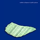 Sudden Collapses in Public Places