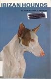 Ibizan hounds