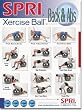 SPRI Back and Abs Xercise Ball Wall Chart
