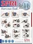 SPRI Back and Abs Xercise Ball Wall Chart