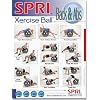 SPRI Back and Abs Xercise Ball Wall Chart
