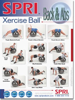 SPRI Back and Abs Xercise Ball Wall Chart