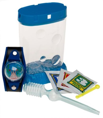 Childrens Toyshop  Toys : Sea Monkeys - WristAquarium