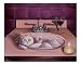 9 Lives Animals Giclee Poster Print by Steve Ryan, 10x8