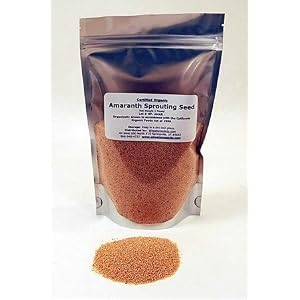 Organic Amaranth Seeds- 1 Lbs- Grain Seed for Sprouting Sprouts, Cooking, Grinding For... by Handy Pantry