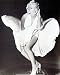 Marilyn Monroe (The Legend - White Dress Blowing) Art Poster Print - 16 X 20