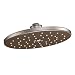 Moen S112EPORB Showering Accessories-Premium One-Function 10-Inch Diameter Eco-Performance Showerhead, Oil Rubbed Bronze