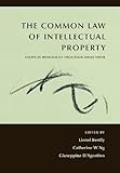 The common law of intellectual property : essays in honour of Professor David Vaver
