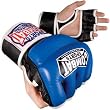 Combat Sports MMA Hybrid Fight Gloves