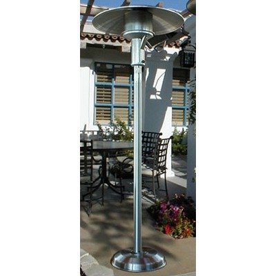 Portable Natural Gas Patio Heater Color: Black
