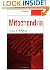 Mitochondria