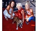 Dixie Chicks , 10x8