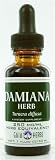 Damiana Extract (4 Fluid Ounces) - Gaia Herbs