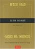 To Stir the Heart: Four African Stories (Two By Two)