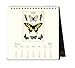 Cavallini Papers & Co CAL16-16 2016 Butterflies Desk Calendar