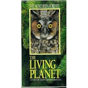 Living Planet Northern Forests