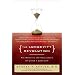 The Longevity Revolution: The Benefits and Challenges of Living a Long Life