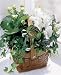 A Thoughtful Plant Gift From the Garden, Premium