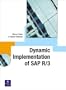 Dynamic Implementation of SAP(R) R/3(R)