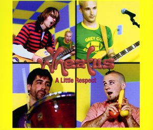 Wheatus - Little Respect - Zortam Music