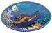 SEA TURTLE ocean fish SOAP DISH bathroom home decor