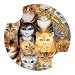 Cats Cats Cats Carsters - Coasters for Your Car