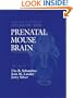 Atlas of the Prenatal Mouse Brain