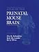 Book Atlas of the Prenatal Mouse Brain