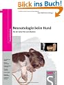 Neonatologie beim Hund: Von der Geburt bis zum Absetzen