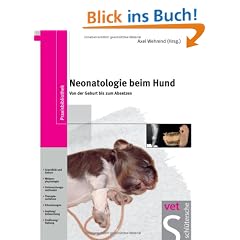 Neonatologie beim Hund: Von der Geburt bis zum Absetzen