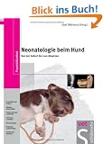Neonatologie beim Hund: Von der Geburt bis zum Absetzen