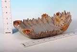 Review SGP  / Porcelain Spikey Hedgehog Plate (630328)