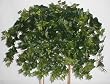 32" Deluxe English Ivy Ledge Garden