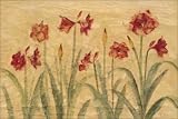 Row of Red Amaryllis, Art Poster by Cheri Blum