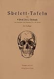 Skelett-Tafeln