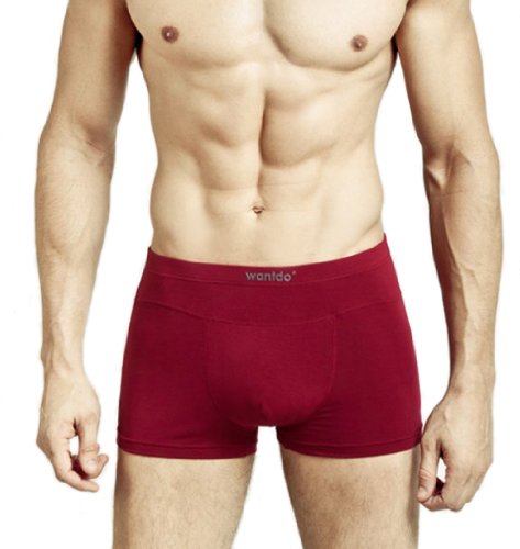 Mens Boxer Briefs Modal Underwear Underpants Variant Color