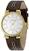 Skagen Casual Gold-tone Steel Mens Watch with Brown Leather Bracelet 433LGL1