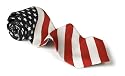 Patriotic Silk Ties